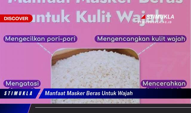 Ketahui 7 Manfaat Masker Beras untuk Wajah Cerah dan Sehat Alami