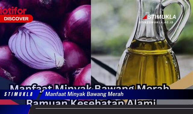 Ketahui 10 Manfaat Minyak Bawang Merah untuk Kesehatan Tubuh Anda Ketahui 10 Manfaat Minyak Bawang Merah untuk Kesehatan Tubuh Anda