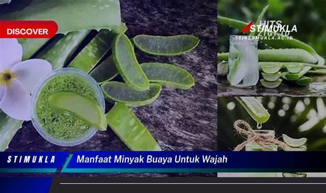 9 Manfaat Minyak Buaya Untuk Wajah Cerah, Sehat, dan Bebas Jerawat