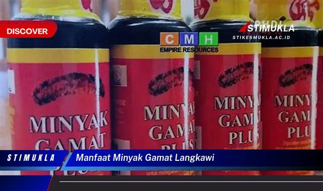 10 Manfaat manfaat minyak gamat langkawi Temukan Khasiatnya Disini