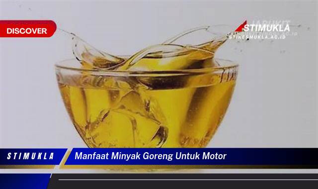 10 Manfaat Minyak Goreng Untuk Motor Tingkatkan Performa Mesin Anda