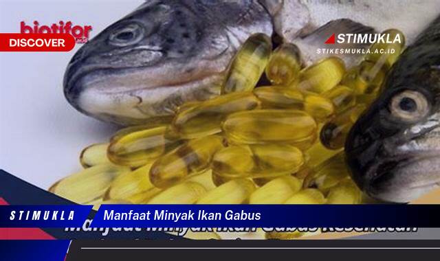 Ketahui 9 Manfaat Minyak Ikan Gabus untuk Kesehatan Tubuh Anda