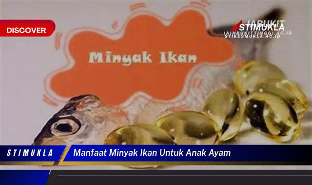 Temukan 8 Manfaat Minyak Ikan untuk Anak Ayam, Pertumbuhan Optimal Anti Sakit