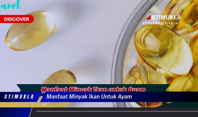 Ketahui 9 Manfaat Minyak Ikan untuk Ayam, Kunci Pertumbuhan Optimal dan Bobot Ideal Ketahui 9 Manfaat Minyak Ikan untuk Ayam, Kunci Pertumbuhan Optimal dan Bobot Ideal