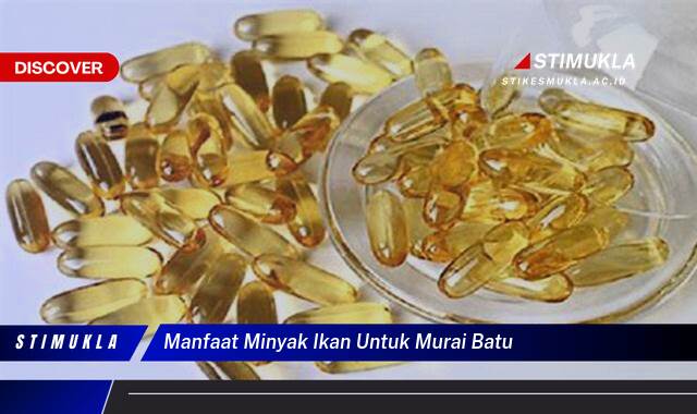 10 Manfaat manfaat minyak ikan untuk murai batu Rahasia Kesehatan & Kicauan Prima 10 Manfaat manfaat minyak ikan untuk murai batu Rahasia Kesehatan & Kicauan Prima