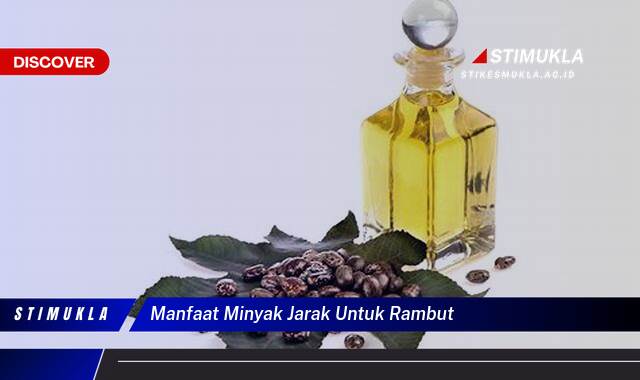 Inilah 10 Manfaat Minyak Jarak Untuk Rambut, Atasi Rontok & Tumbuh Lebat