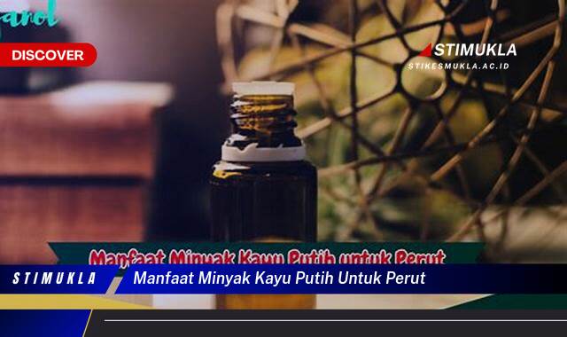 Ketahui 10 Manfaat Minyak Kayu Putih Untuk Perut Mulas, Kembung dan Masuk Angin