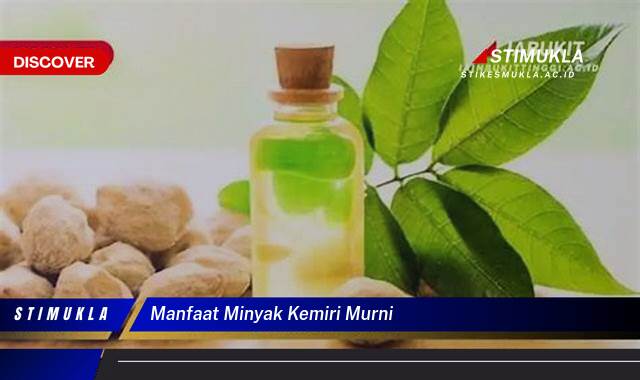 Inilah 9 Manfaat Minyak Kemiri Murni untuk Kesehatan dan Kecantikan