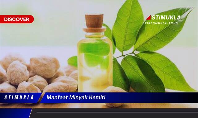 Ketahui 9 Manfaat Minyak Kemiri untuk Kesehatan Rambut dan Kulit