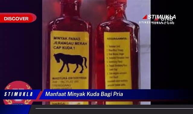 Ketahui 8 Manfaat Minyak Kuda bagi Pria untuk Vitalitas dan Stamina