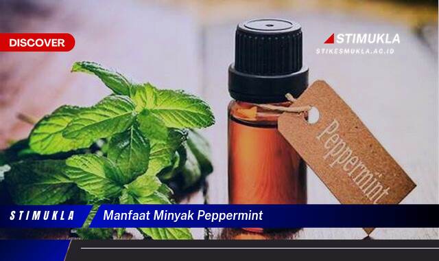9 Manfaat Minyak Peppermint Untuk Kesehatan Alami