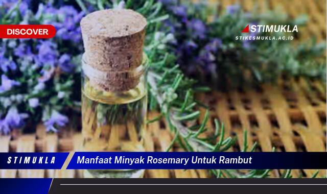 Temukan 9 Manfaat Minyak Rosemary untuk Rambut  Atasi Rontok dan Ketombe