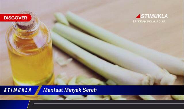 Ketahui 8 Manfaat Minyak Sereh untuk Kesehatan, Kecantikan, dan Rumah Tangga Ketahui 8 Manfaat Minyak Sereh untuk Kesehatan, Kecantikan, dan Rumah Tangga