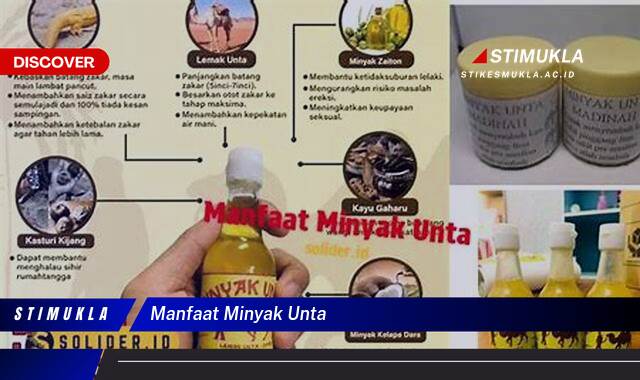 9 Manfaat Minyak Unta untuk Kesehatan dan Kecantikan Kulit 9 Manfaat Minyak Unta untuk Kesehatan dan Kecantikan Kulit