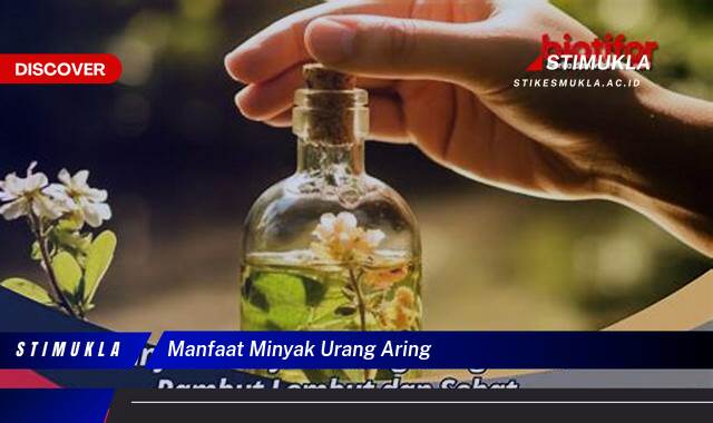 Ketahui 10 Manfaat Minyak Urang Aring untuk Rambut Sehat, Kuat, dan Berkilau Ketahui 10 Manfaat Minyak Urang Aring untuk Rambut Sehat, Kuat, dan Berkilau