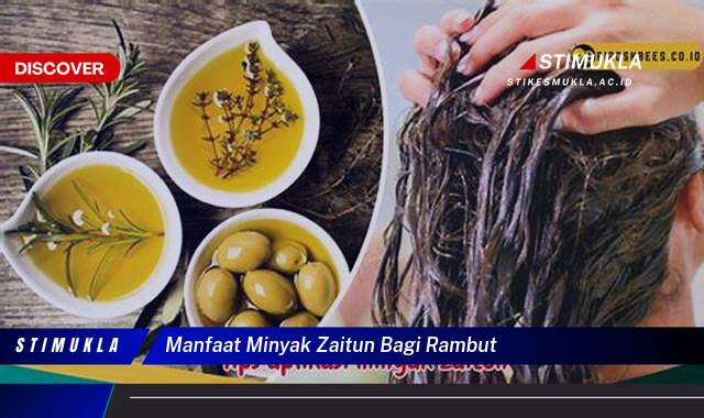 9 Manfaat manfaat minyak zaitun bagi rambut untuk rambut sehat