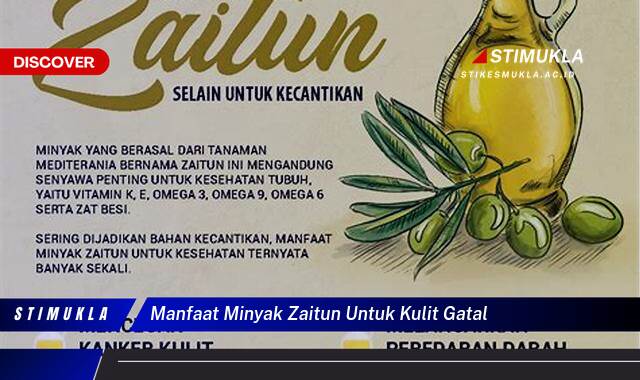 Ketahui 10 Manfaat Minyak Zaitun untuk Kulit Gatal dan Cara Meredakannya