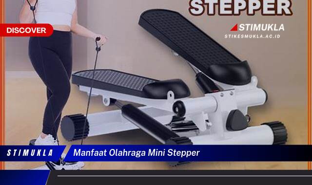 Ketahui 9 Manfaat Olahraga Mini Stepper untuk Kesehatan Tubuh dan Berat Badan Ideal