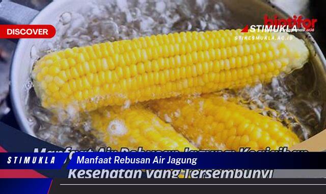 Ketahui 8 Manfaat Rebusan Air Jagung untuk Kesehatan Anda