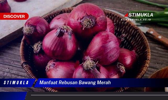 8 Manfaat Rebusan Bawang Merah Terungkap Lebih Efektif dan Alami