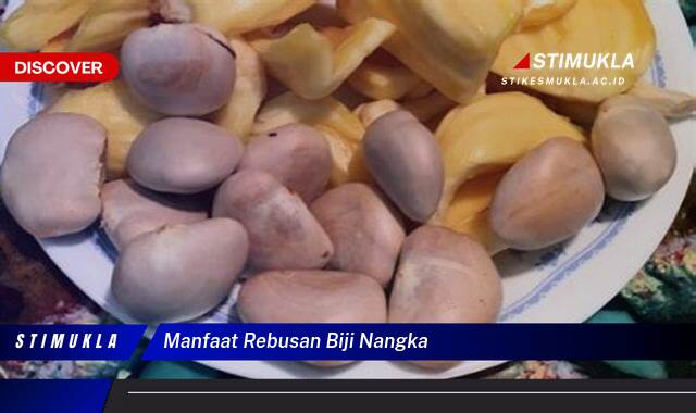 9 Manfaat Rebusan Biji Nangka untuk Kesehatan, Kecantikan, dan Diet