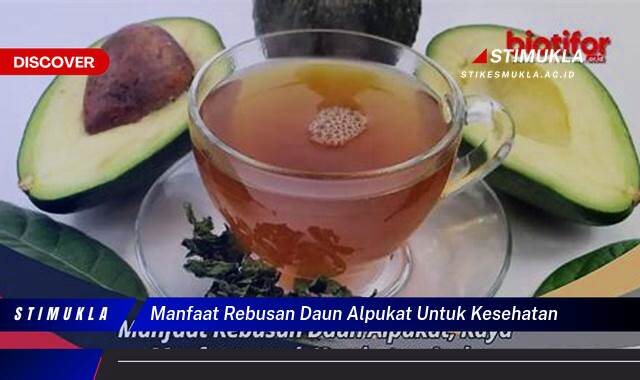 Temukan 8 Manfaat Rebusan Daun Alpukat untuk Kesehatan Tubuh yang Menakjubkan