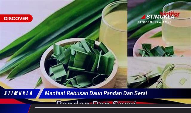 8 Manfaat Rebusan Daun Pn dan Serai Untuk Kesehatan Alami