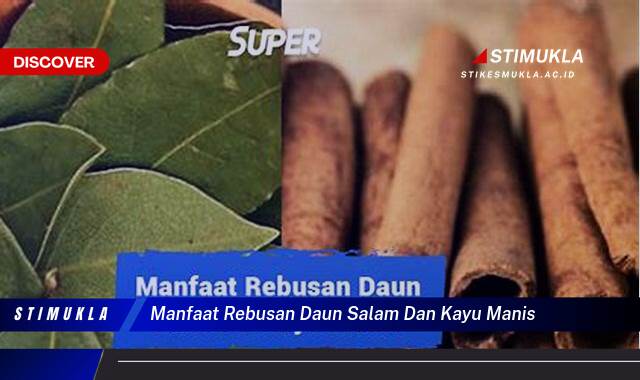 10 Manfaat Rebusan Daun Salam dan Kayu Manis untuk Kesehatan Tubuh