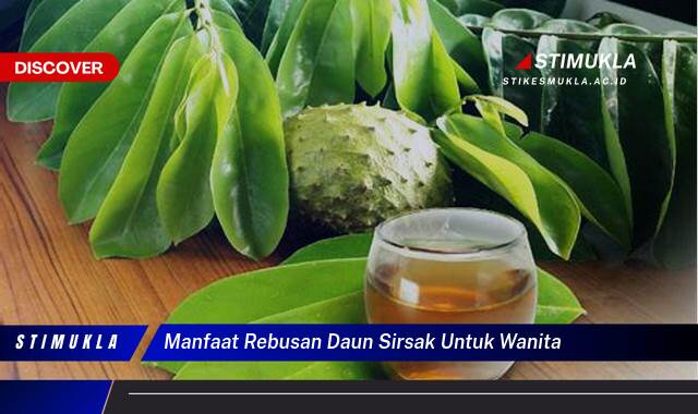 Ketahui 9 Manfaat Rebusan Daun Sirsak Untuk Wanita Atasi Nyeri Haid dan Kista Ketahui 9 Manfaat Rebusan Daun Sirsak Untuk Wanita Atasi Nyeri Haid dan Kista