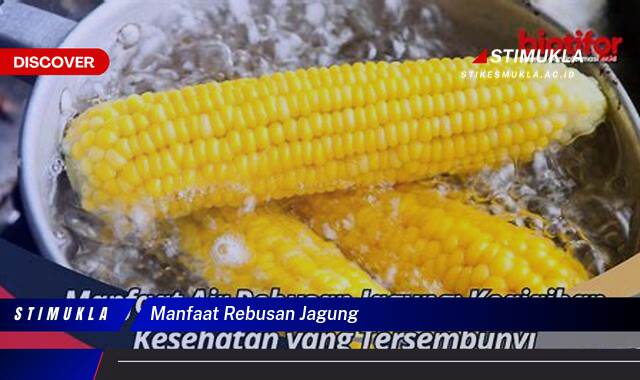 Ketahui 8 Manfaat Rebusan Jagung untuk Kesehatan Tubuh Anda