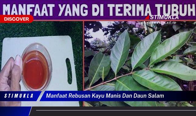 Ketahui 10 Manfaat Rebusan Kayu Manis dan Daun Salam untuk Kesehatan Tubuh