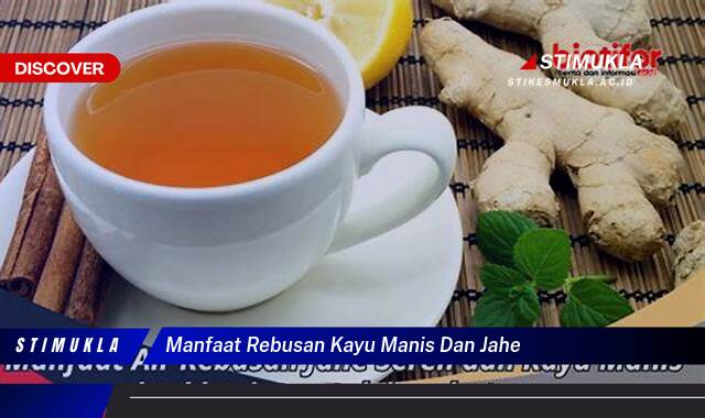 10 Manfaat manfaat rebusan kayu manis dan jahe Sehat Alami Terbukti