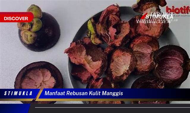 Ketahui 8 Manfaat Rebusan Kulit Manggis untuk Kesehatan Anda Ketahui 8 Manfaat Rebusan Kulit Manggis untuk Kesehatan Anda