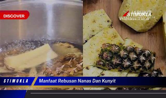 Inilah 8 Manfaat Rebusan Nanas dan Kunyit untuk Kesehatan Tubuh