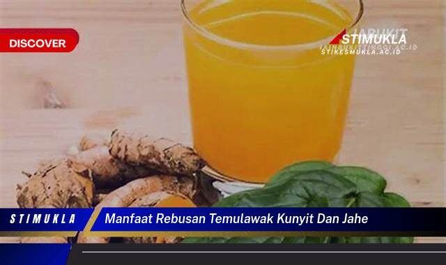 Ketahui 9 Manfaat Rebusan Temulawak, Kunyit, dan Jahe untuk Kesehatan Tubuh Anda