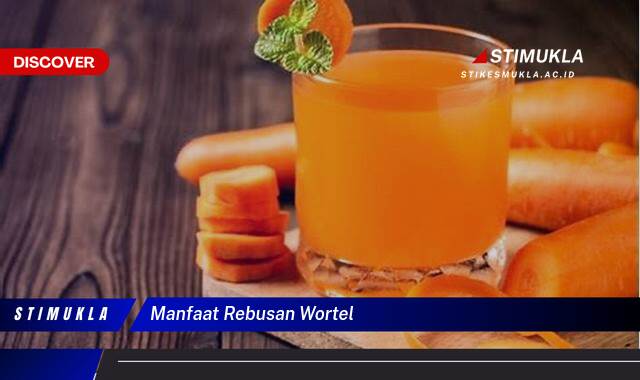9 Manfaat Rebusan Wortel Untuk Kesehatan Optimal