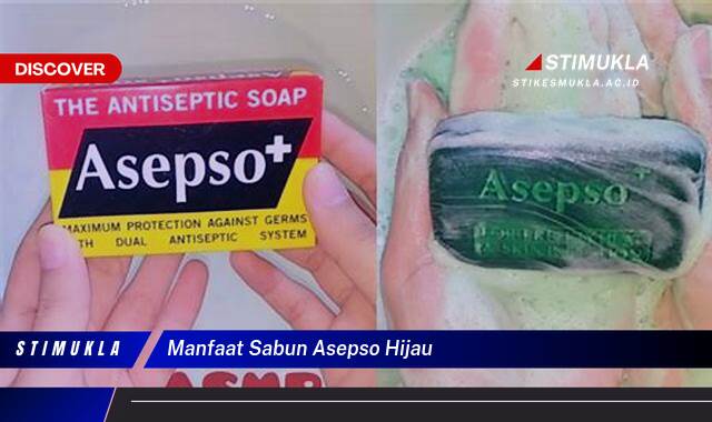 Ketahui 8 Manfaat Sabun Asepso Hijau untuk Kulit Sehat dan Bersih Ketahui 8 Manfaat Sabun Asepso Hijau untuk Kulit Sehat dan Bersih
