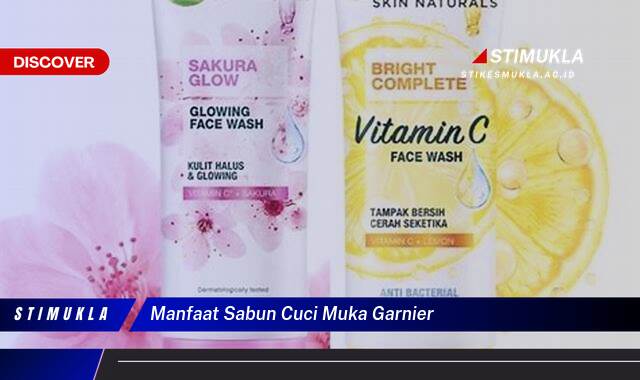 Inilah 10 Manfaat Sabun Cuci Muka Garnier untuk Kulit Cerah Berseri