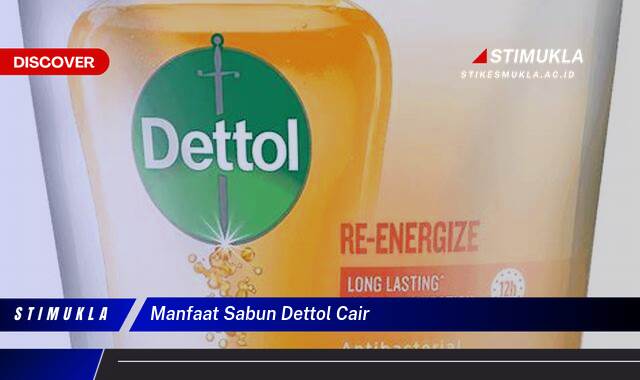 10 Manfaat Sabun Dettol Cair Lindungi Keluarga 10 Manfaat Sabun Dettol Cair Lindungi Keluarga