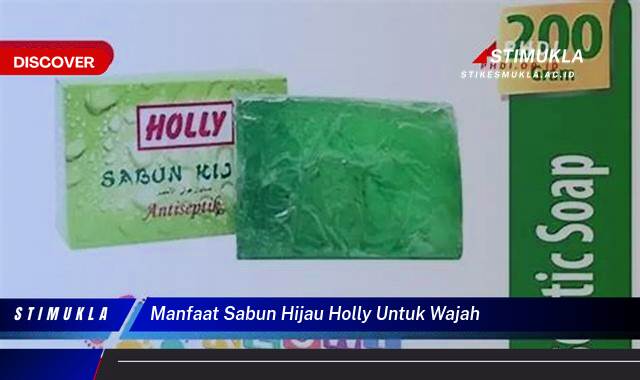 Temukan 8 Manfaat Sabun Hijau Holly untuk Wajah Cerah, Sehat dan Berseri