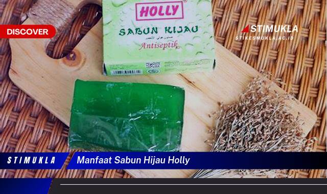 Ketahui 8 Manfaat Sabun Hijau Holly untuk Kulit Cerah dan Sehat