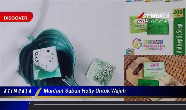 8 Manfaat manfaat sabun holly untuk wajah Kulit Glowing Alami