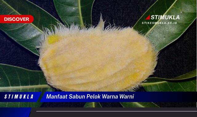 Inilah 9 Manfaat Sabun Pelok Warna Warni untuk Kulit Cerah Berseri