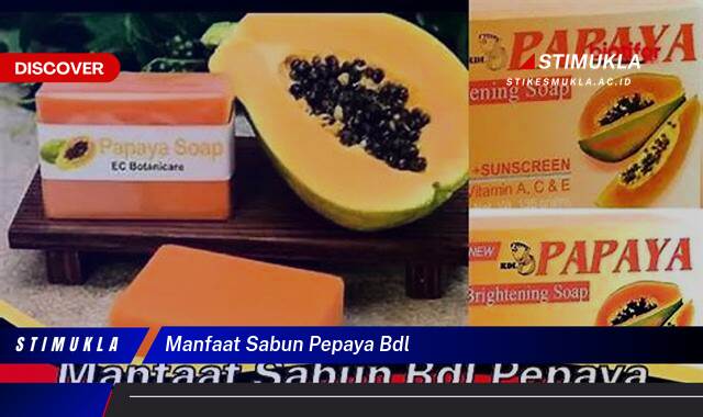 10 Manfaat manfaat sabun pepaya bdl untuk kulit sehatmu