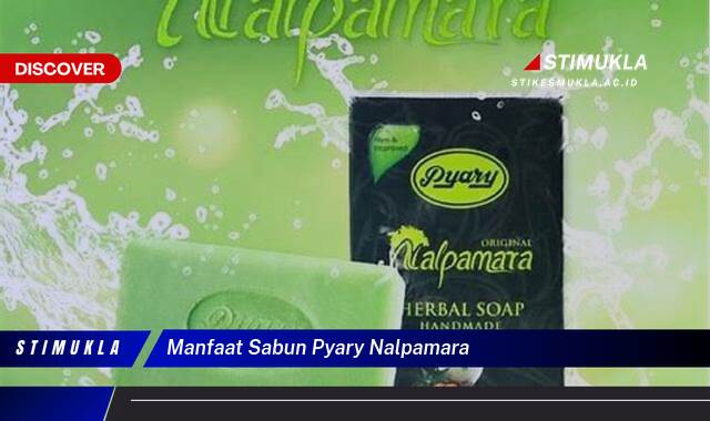 Temukan 8 Manfaat Sabun Pyary Nalpamara untuk Kulit Cerah Berseri