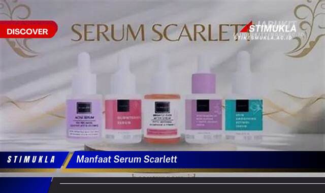 Ketahui 10 Manfaat Serum Scarlett untuk Mencerahkan & Menghilangkan Bekas Jerawat Ketahui 10 Manfaat Serum Scarlett untuk Mencerahkan & Menghilangkan Bekas Jerawat