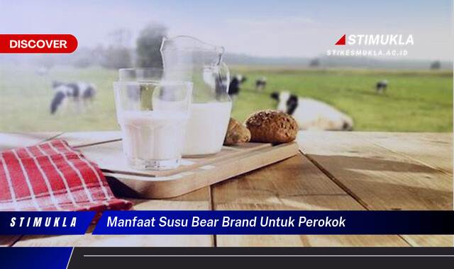 Ketahui 9 Manfaat Susu Bear Brand untuk Perokok yang Ingin Berhenti Merokok dan Menjaga Kesehatan Paru,Paru