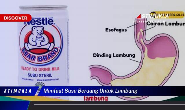 Ketahui 9 Manfaat Susu Beruang untuk Lambung, Meredakan Maag, Asam Lambung, dan Gangguan Pencernaan Lainnya Ketahui 9 Manfaat Susu Beruang untuk Lambung, Meredakan Maag, Asam Lambung, dan Gangguan Pencernaan Lainnya