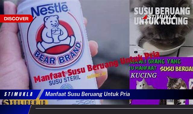 Ketahui 10 Manfaat Susu Beruang Untuk Pria, Tingkatkan Energi dan Stamina