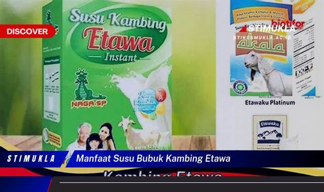 Temukan 10 Manfaat Susu Bubuk Kambing Etawa untuk Kesehatan, Kecantikan & Kebugaran Temukan 10 Manfaat Susu Bubuk Kambing Etawa untuk Kesehatan, Kecantikan & Kebugaran
